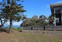 Bundaberg real estate market defies odds