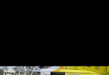 Snake bite victim given all clear