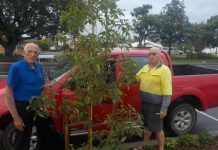 Poor plant planning leaves BRC with… Growing pains