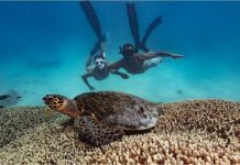 Bundaberg misses huge tourism opportunity