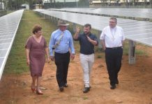 Shalom with enough solar to power an entire suburb