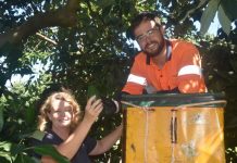 Local farmers share the avocado goodness