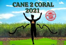 No Cane2Coral this year for Bundaberg