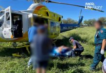 LifeFlight airlifts man struck by cattle yard gate