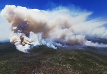 Fraser Island bushfire report reviewed in Parliament