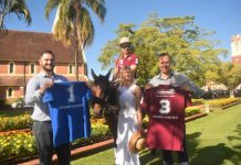 Polo is on track for large numbers once again