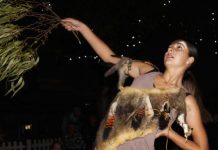 Festival a success for art lovers