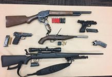Guns, drugs and ammo found in Bundaberg East