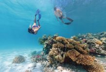 Bundaberg still top in tourism