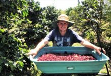 Experience distinct flavour profiles with coffee appreciation