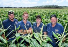 Food fresh from the farm