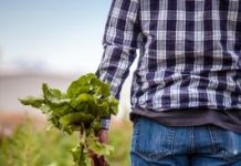 Agricultural census allows farmers to share their needs