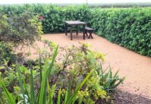 Gardening: Therapeutic garden