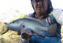 Fishing: Full moon tides offshore