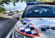 Police officer run over in pursuit of stolen car