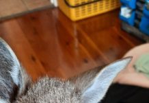 Highs and lows of a big season