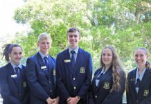 Excellence showcased