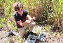 Even the scariest wildlife are mothers