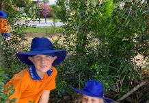 Alloway shows plenty of heart