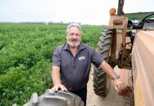Austchilli leads in ag innovation