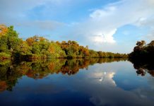 “New horizon” for Burnett Mary Regional Group