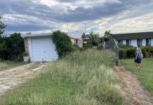 Overgrown house not so neighbourly