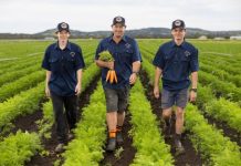 Queensland customers look for organic