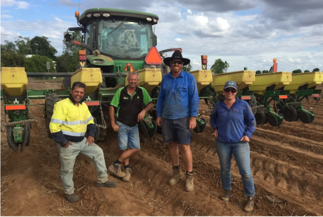 Producers pick a winner with dual purpose peanuts - Bundaberg Today