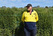 Wayne, a dedicated face behind celebrated Mother’s Day flower joy