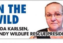 Rescue of carer dreams