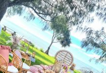 Enchanting picnic experience