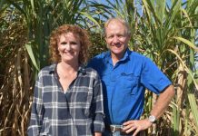 Soybean research drives results