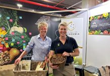 Macadamia forecast down