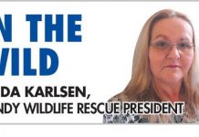 Fires problem for wildlife too