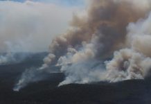 Black Hawk down here