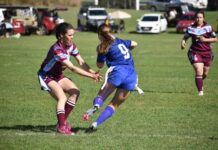 WLT sees Gin Gin Hawkettes fly high above competition