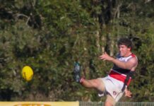 Bulldogs too strong for Demons