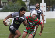 Magpies fly in battle of the birds