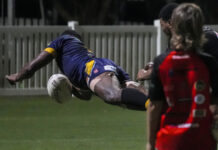 Four-some showing from Tigers flyer