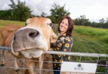 Agritourism representatives continue to help region stand out