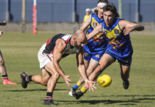 Bulldogs guard territory