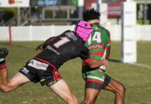 Seagulls circle Panthers