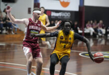 Bulls end QSL campaign with a loss