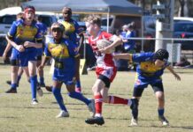 Juniors shine at Mini Mods