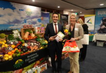 Let the region shine