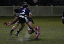 Magpies soar into decider