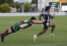 Magpies soar, Seagulls out