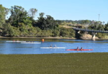 Rowing action heats up at Bundaberg All Schools Combined Head of River rowing regatta