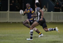 Terrific Tigers go back-to-back