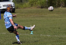 Challenge awaits the Sharks